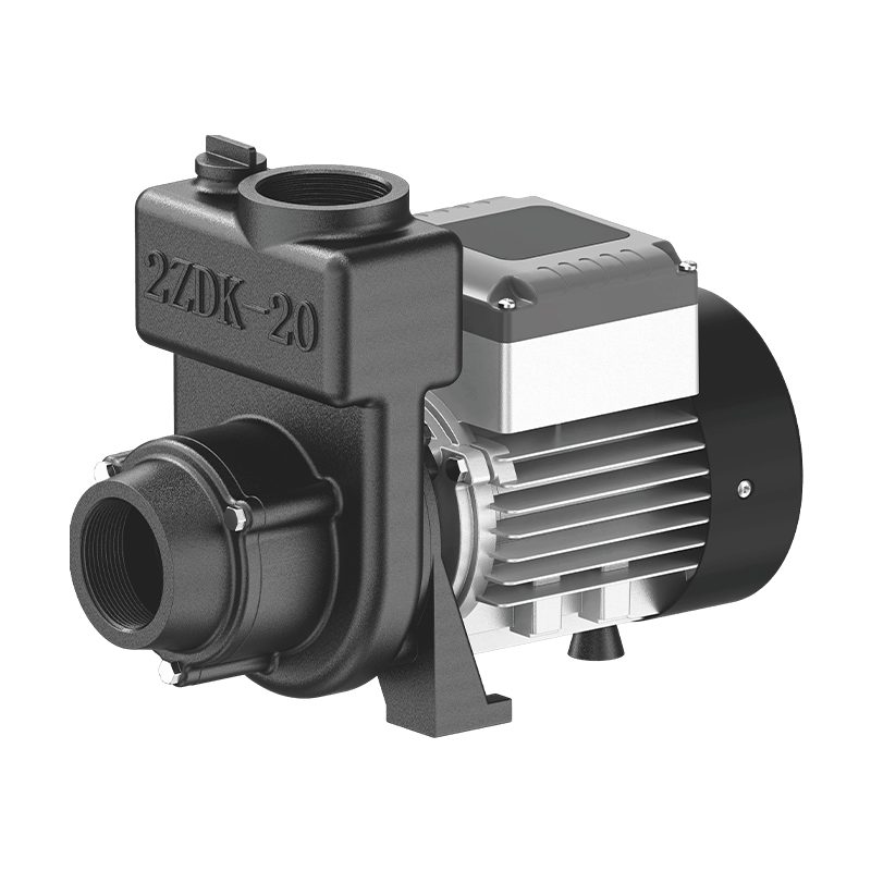 Pompe solaire domestique TZDK, TPN, TCPM de 1,5 pouce à 2 pouces avec contrôleur MPPT 750 W-2200 W