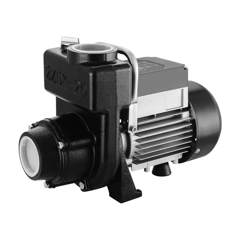 Pompe solaire domestique TZDK, TPN, TCPM de 1,5 pouce à 2 pouces avec contrôleur MPPT 750 W-2200 W